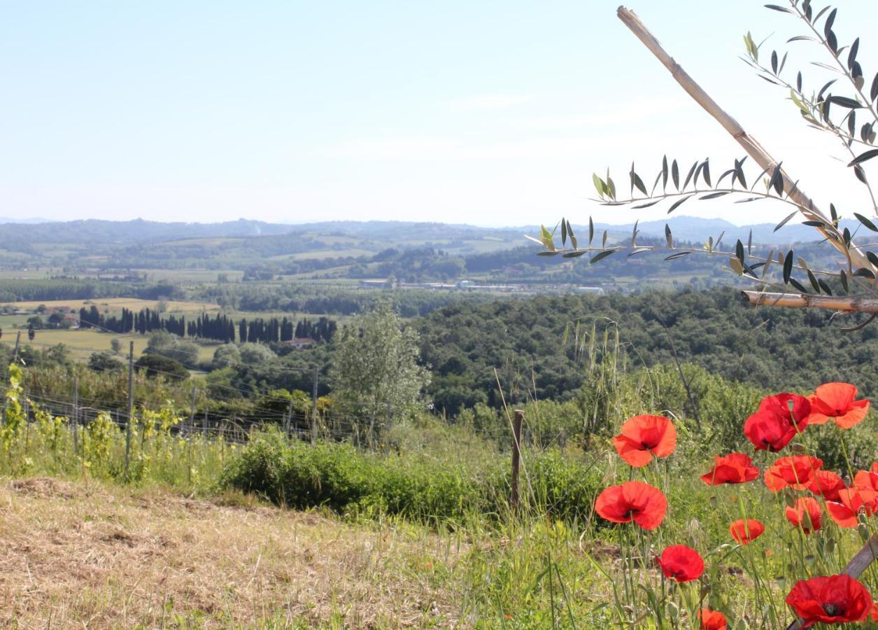 Tuscany Life Terricciola Exterior photo
